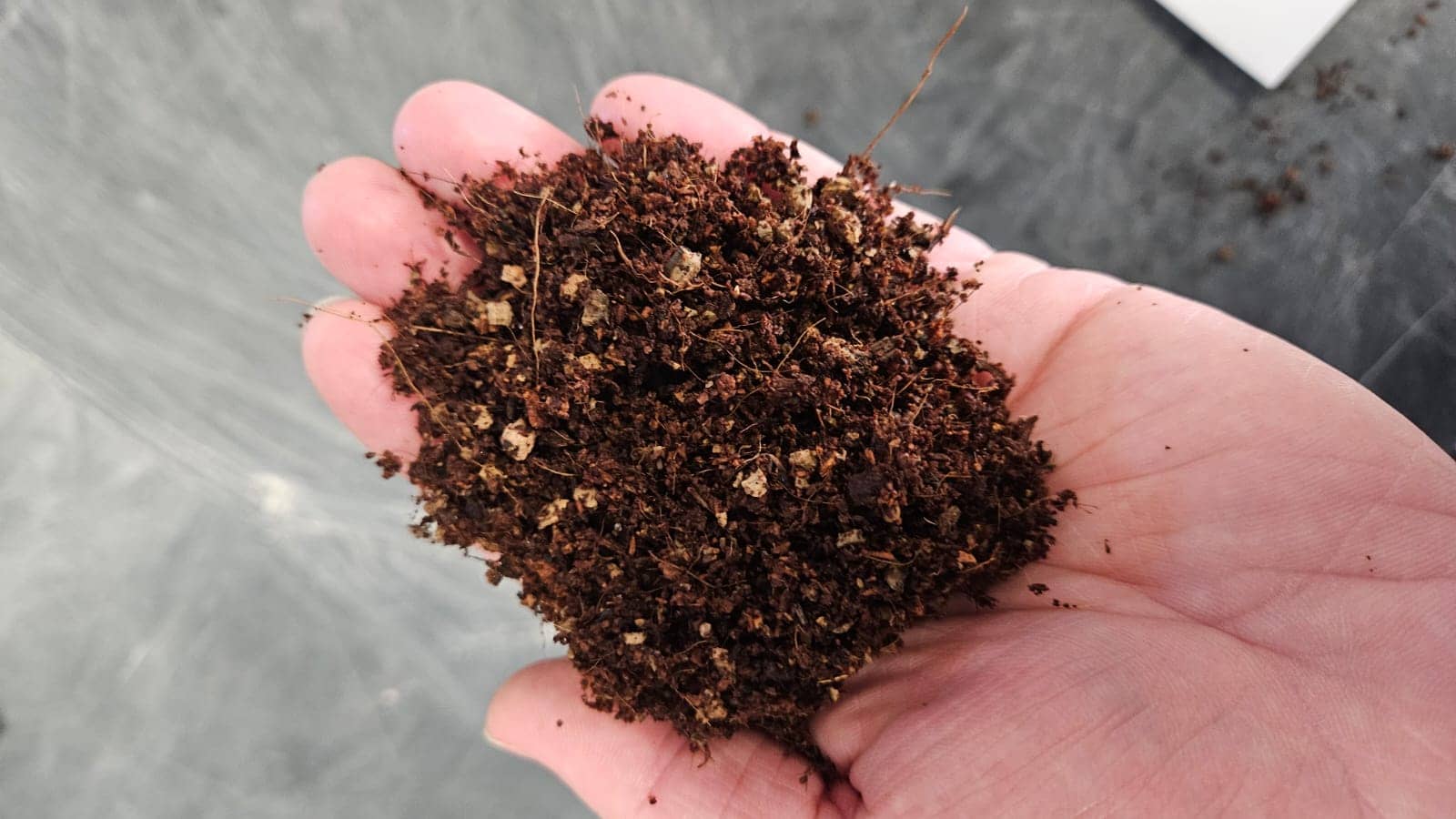 intaso per erba sintetica 100% naturale alimac fibra di cocco fibra di canapa sughero