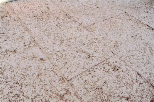 pavimento pietra prun alimac